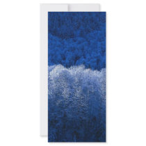 Winter rack cards