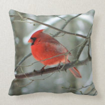Winter Red Cardinal ( WestCreek) pillows