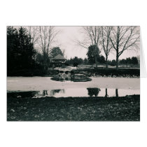 Winter Reflections cards