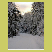 Winter Road postcards