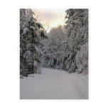 Winter Road Post Card