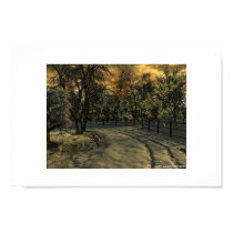 Winter Road posters by timefighter Winter Road posters