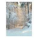 Winter Road posters