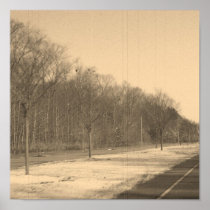 Winter Road Print