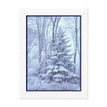Winter Robes ~ Blue Post Cards