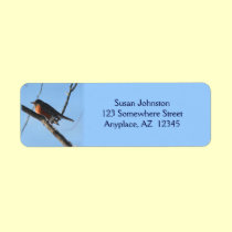 Winter Robin Animal Address Label labels