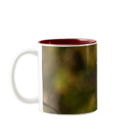 Winter Robin Mug mug
