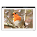 Winter Robin Redbreast 17" Laptop Decal