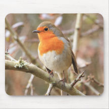 Winter Robin Redbreast Mousepad