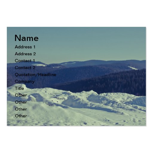 Winter romanian landscape business card (front side)