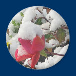 Winter Rose Garden Magnet