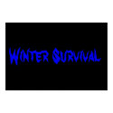 Winter S posters