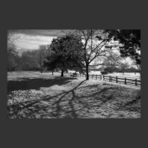 Winter Scape 1 posters by QuietDog_Images Winter Scape 1 posters