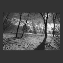 Winter Scape 2 posters by QuietDog_Images Winter Scape 2 posters