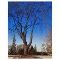 Winter scene at Mooney's Bay, Ottawa, Canada Winte Flyer