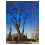 Winter scene at Mooney's Bay, Ottawa, Canada Winte flyers
