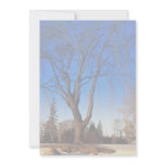 Winter scene at Mooney's Bay, Ottawa, Canada Winte Custom Invitation