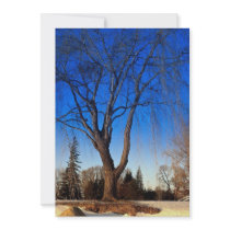 Winter scene at Mooney's Bay, Ottawa, Canada Winte Personalized Invitations