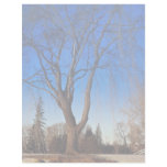 Winter scene at Mooney's Bay, Ottawa, Canada Winte Personalized Letterhead