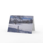 Winter Scene Card cards