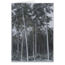 Winter Scene Card