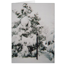 winter scene card