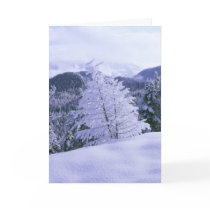 Winter scene Christmas card