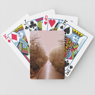 winter scene, frozen canal deck of cards