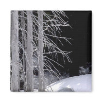 Winter Scene magnets