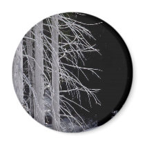 Winter Scene magnets