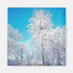 Winter Scene Magnet