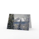 Winter Scenery Christmas Cards