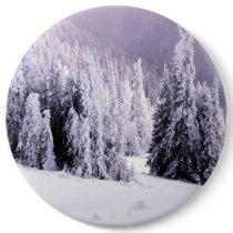 Winter scenic button