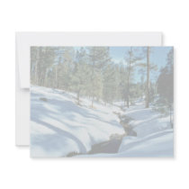 Winter Scenic invitations