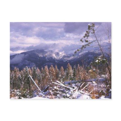 Winter scenic Postcard by gbcimages3