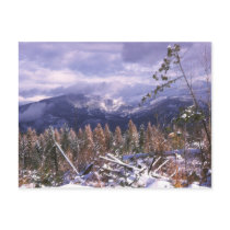 Winter scenic Postcard