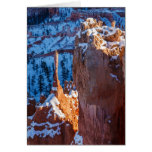 Winter Sentinel Greeting Card