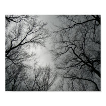 Winter Sentinels Print