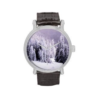 Winter Setting Watches