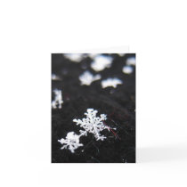 Winter Shape cards