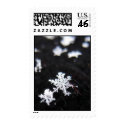 Winter Shape postage