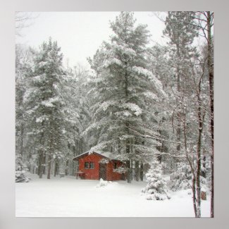 Winter Shed Poster print