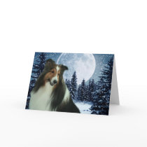 Winter Sheltie Card cards