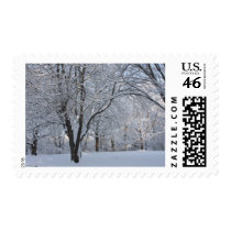 Winter Shroud Postage Stamp