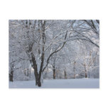 Winter Shroud postcards