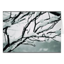 Winter Silence cards by jolecarr Winter Silence cards