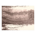 Winter Silence I posters