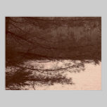 Winter Silence II posters