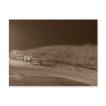 Winter Silence Postcard