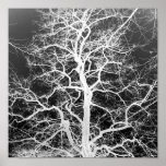 Winter silhouette posters